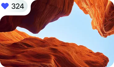 collaboration nol img