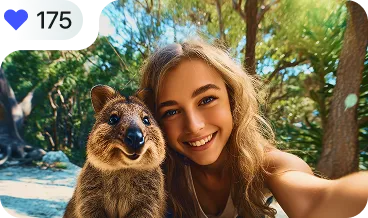 collaboration nol img