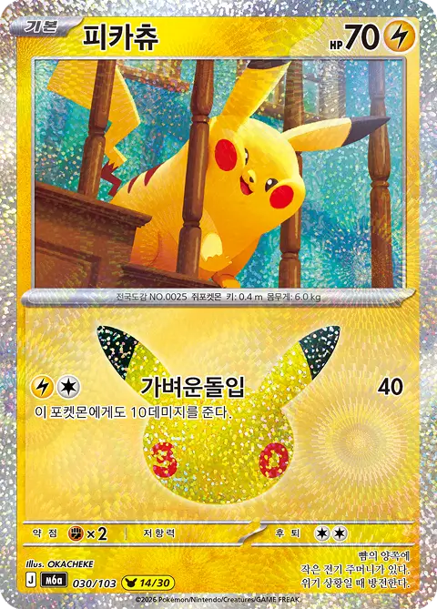 Pokémon playing card