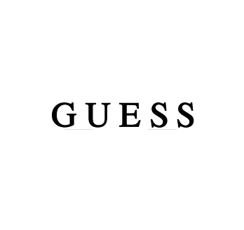 게스